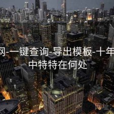 中特网-一键查询-导出模板-十年回顾，中特特在何处