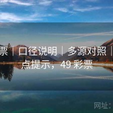 49彩票｜口径说明｜多源对照｜异常点提示，49 彩票