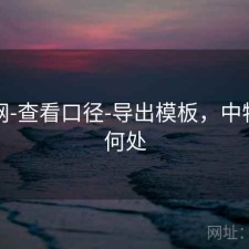 中特网-查看口径-导出模板，中特特在何处