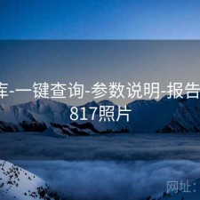 17图库-一键查询-参数说明-报告，171817照片